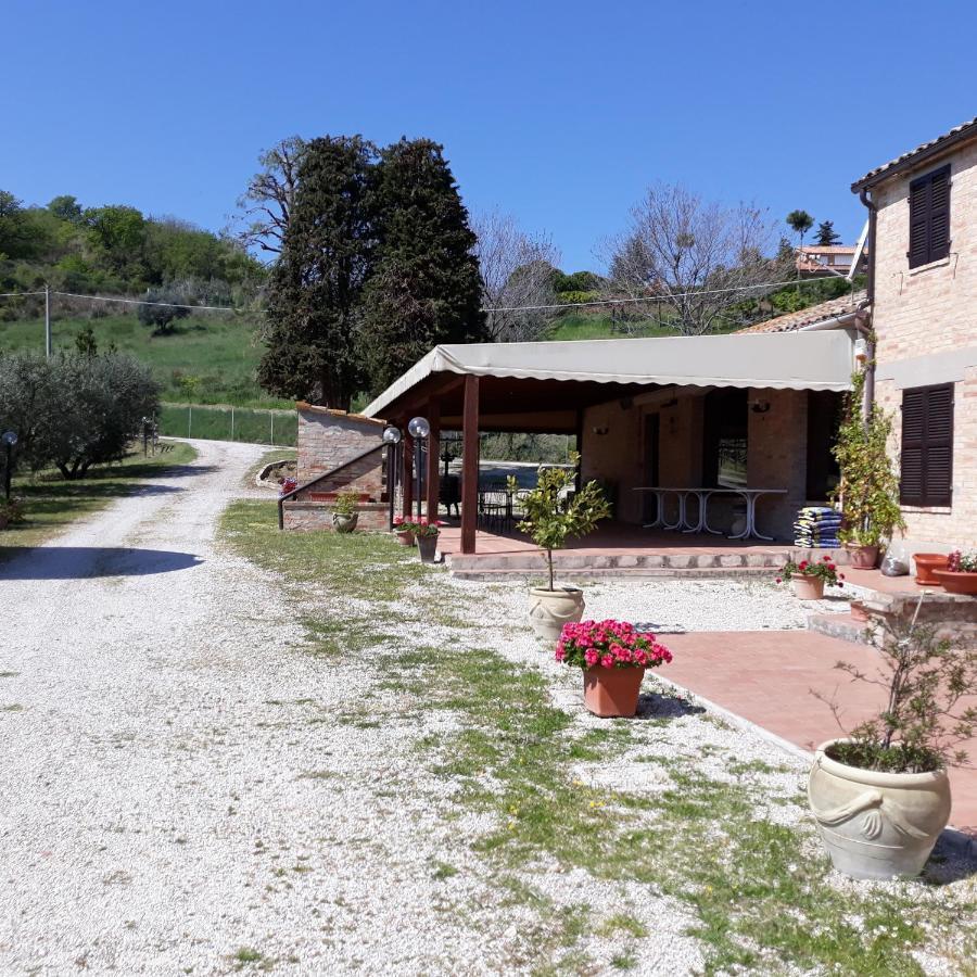 Bed and Breakfast La Collina Sul Mare Marina Palmense Exterior foto